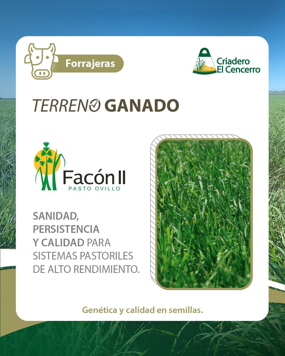 Criadero El Cencerro tweet media