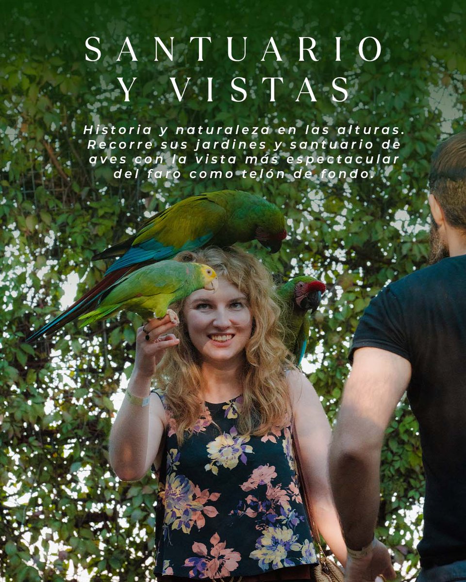 VisitSinaloa tweet media