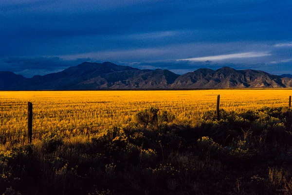 twistopherrobin's tweet photo. #Photography #Color #Landscape #JayMaisel https://t.co/v19TsLb7CB