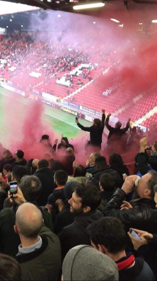 Josh Timms tweet media