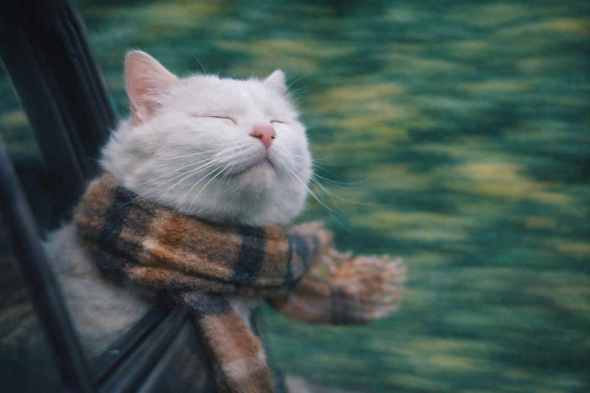 away from keyboard tweet media