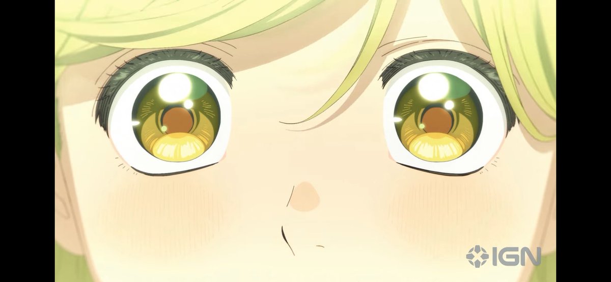 Absolutely beautiful