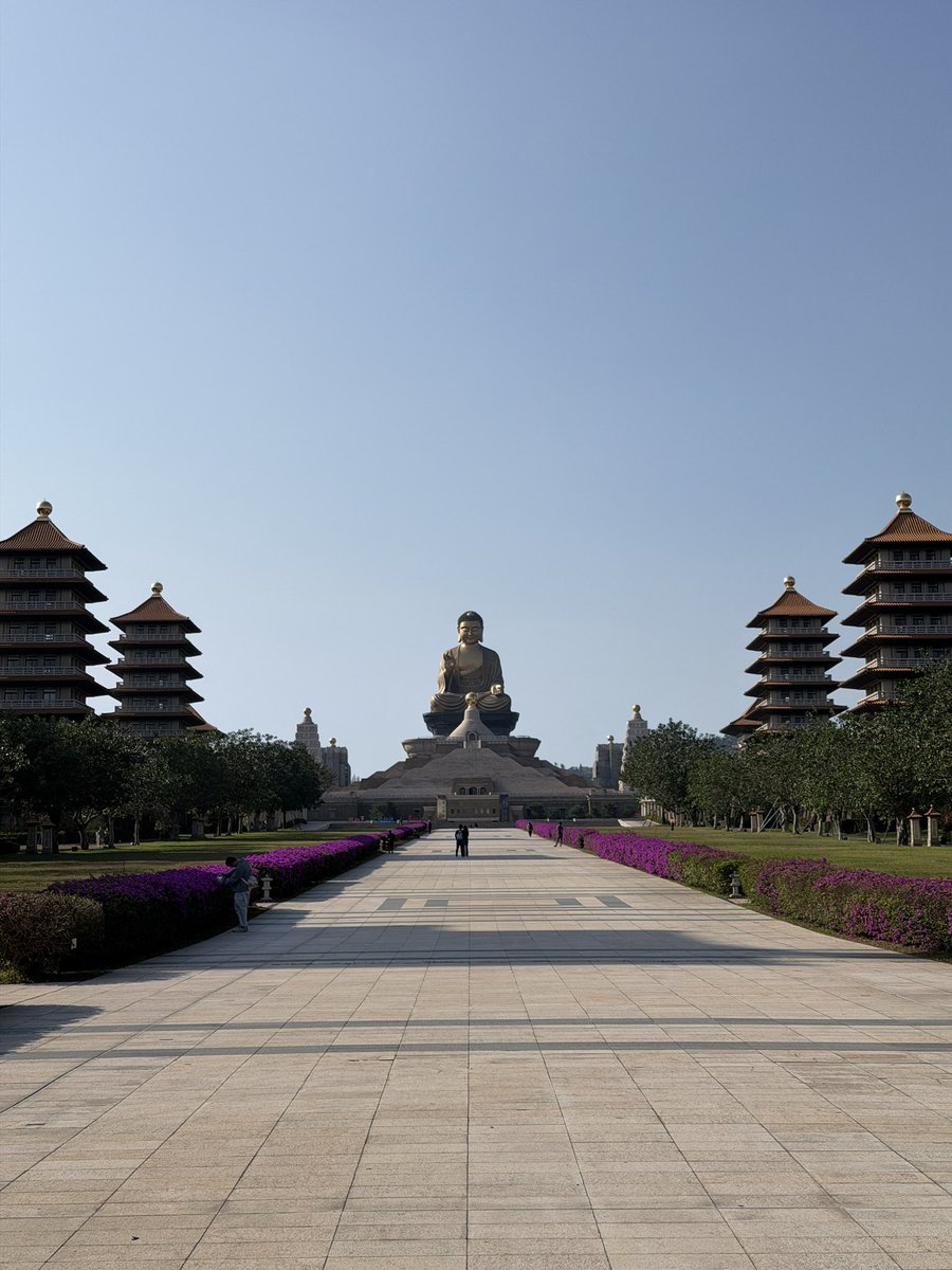 Marco D'Elia tweet media