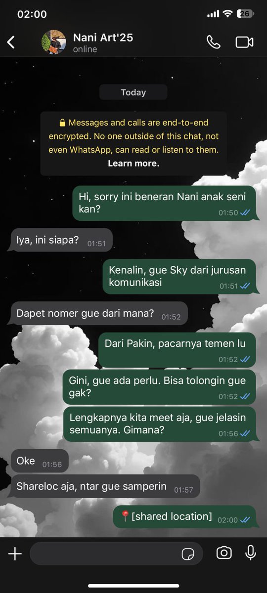 Jo | SkyNani Au📌 tweet media