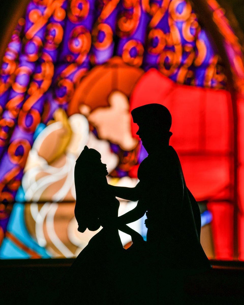 Disneyland Paris tweet media