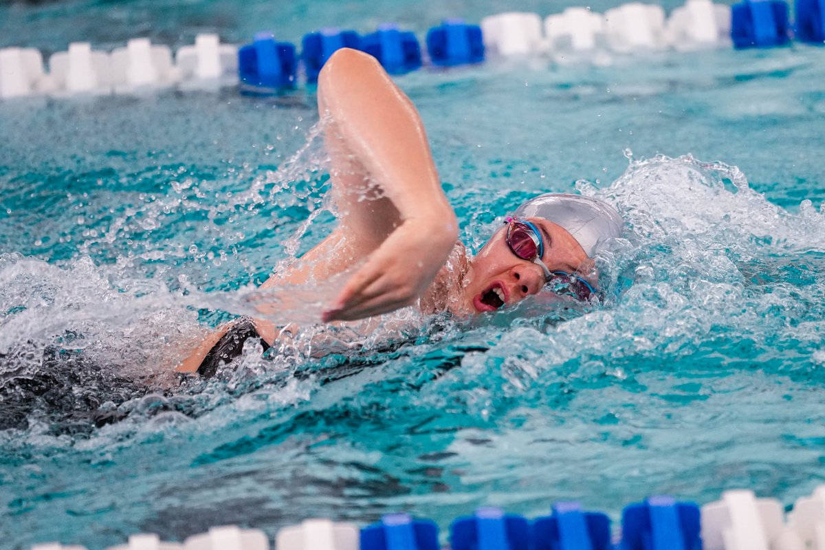 Indiana State Swimming & Diving tweet media