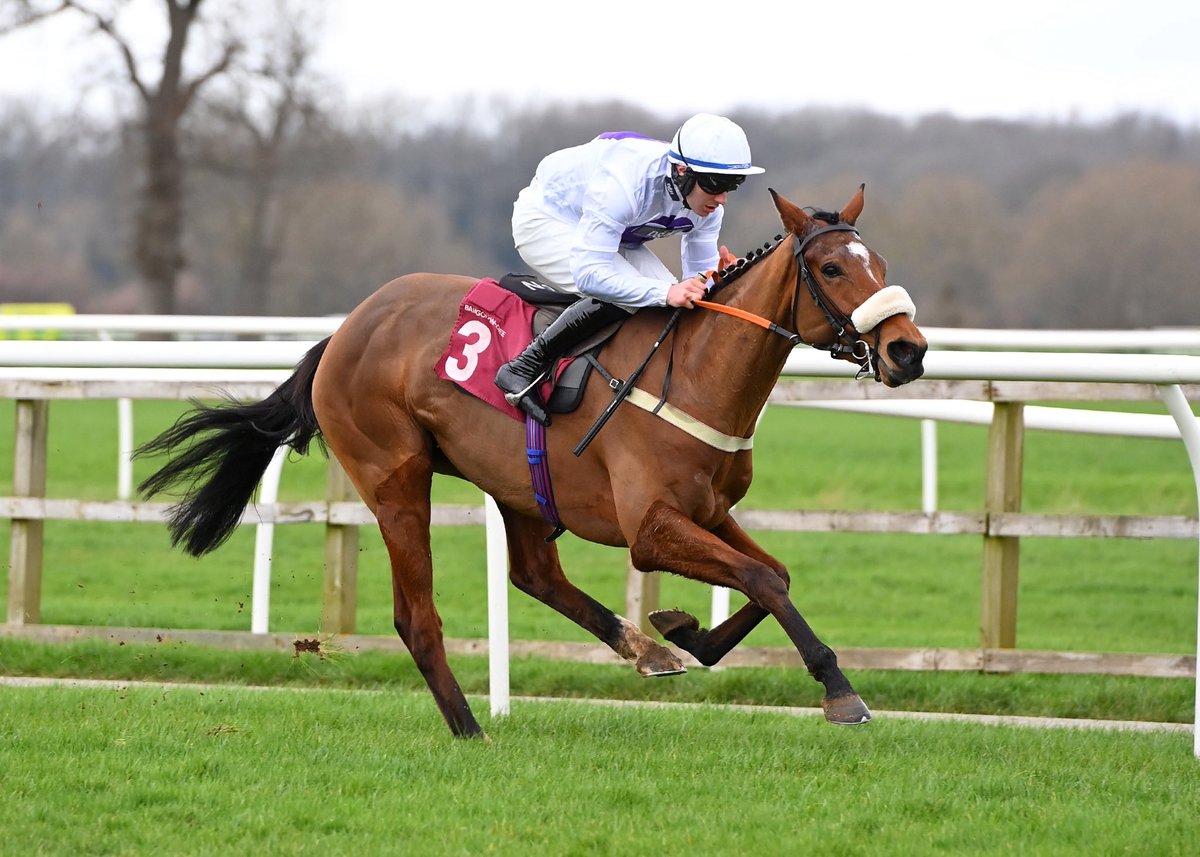 Greenall Guerriero Racing tweet media