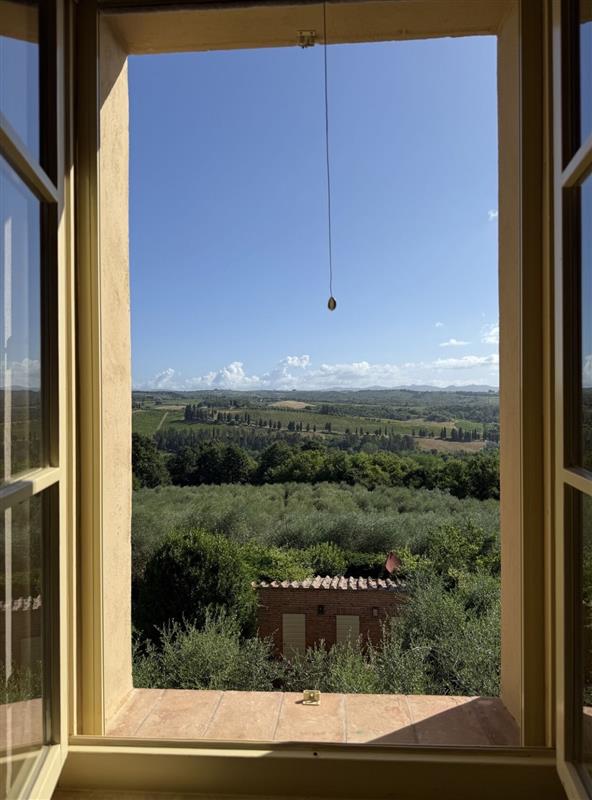 UT San Antonio Carlos Alvarez College of Business tweet media