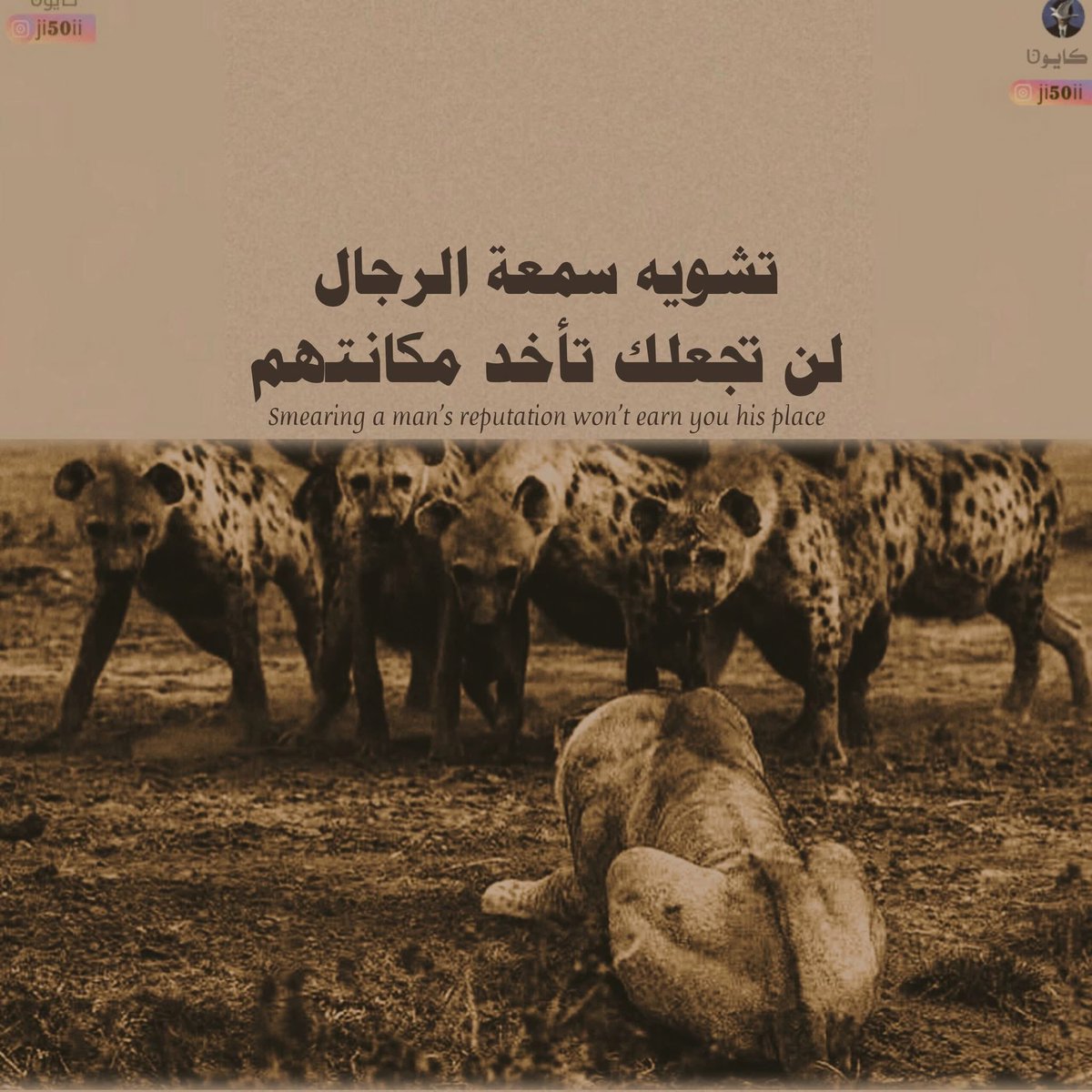 #النعيرية
 #قحطان

#القصيم
#محاكمه_المحرضين_مطلب_اسلامي
 #بتحريضهم_اهلكوهم
#موتى المسلمين 
#الحدود_الشمالية
 #عرعر
 #حفرالباطن
 #نجران
#عسير
 #خميس_مشيط
 #ابها
#الدمام
 #جدة
 #الخرج
#الجبيل
 #المدينة_المنورة
 #الرياض
 #يحدث_الآن

 #صباح_الخيرᅠ 

 #حائل

 #رماح
 #سدير
 #الزلفي