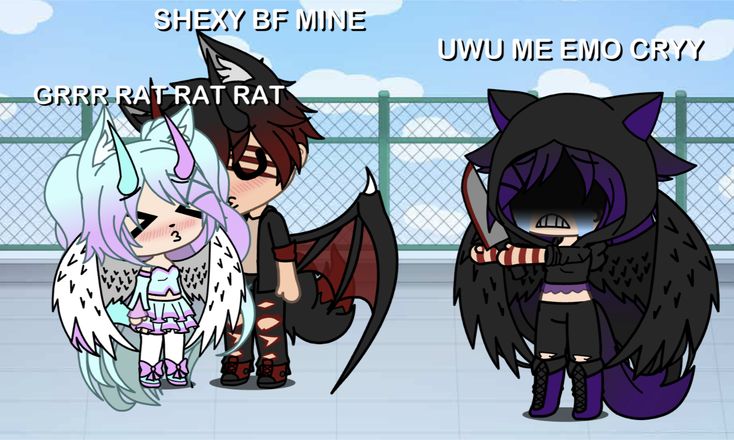 ami of shedtwt (ノ_---。) tweet media