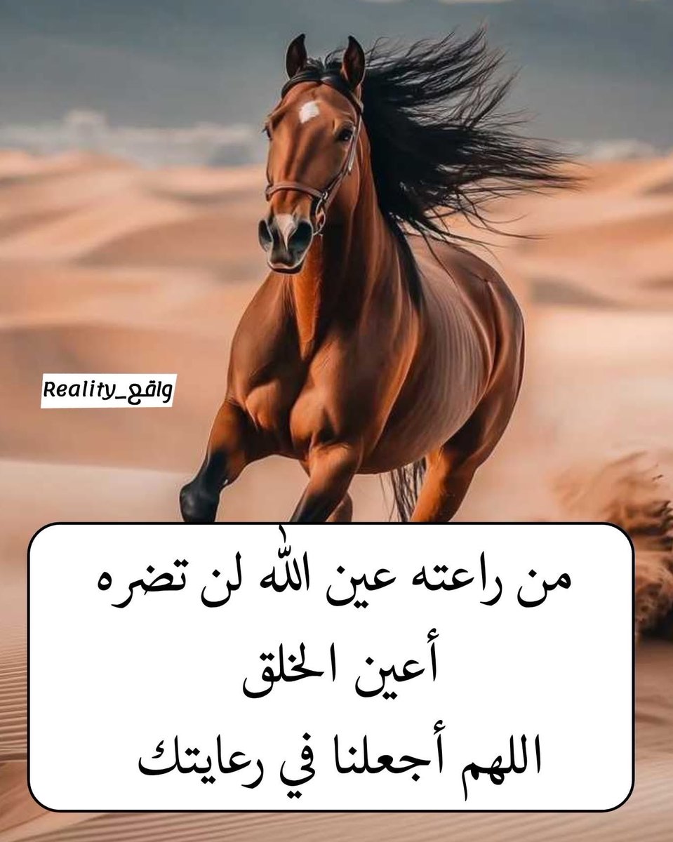 #النعيرية
 #قحطان

#القصيم
#محاكمه_المحرضين_مطلب_اسلامي
 #بتحريضهم_اهلكوهم
#موتى المسلمين 
#الحدود_الشمالية
 #عرعر
 #حفرالباطن
 #نجران
#عسير
 #خميس_مشيط
 #ابها
#الدمام
 #جدة
 #الخرج
#الجبيل
 #المدينة_المنورة
 #الرياض
 #يحدث_الآن

 #صباح_الخيرᅠ 

 #حائل

 #رماح
 #سدير
 #الزلفي