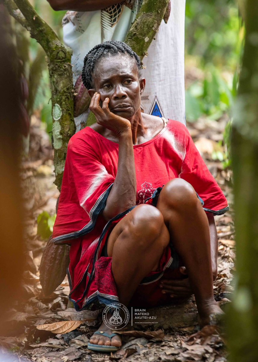 Cocoa Haircut Policy; Farmers' facial expressions tells it all.

This is so pathetic after their work 🙄 
#NDCIsAScam #IncompetentGovernment #AbanBoneAba