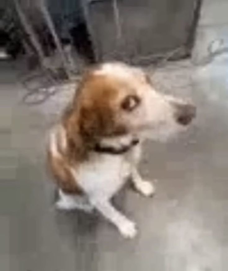 Eu quando vejo alguém com mais maestria que eu de Caitlyn