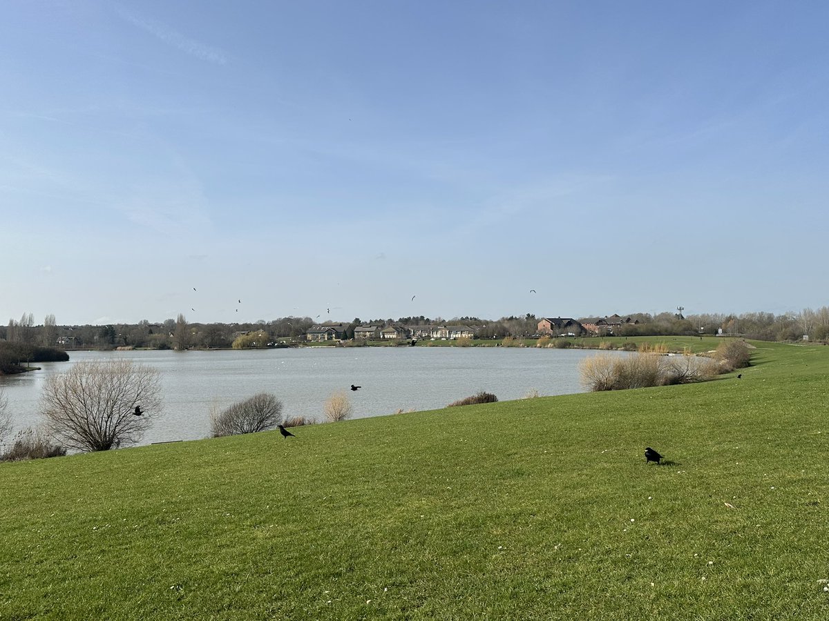 Milton Keynes Future tweet media