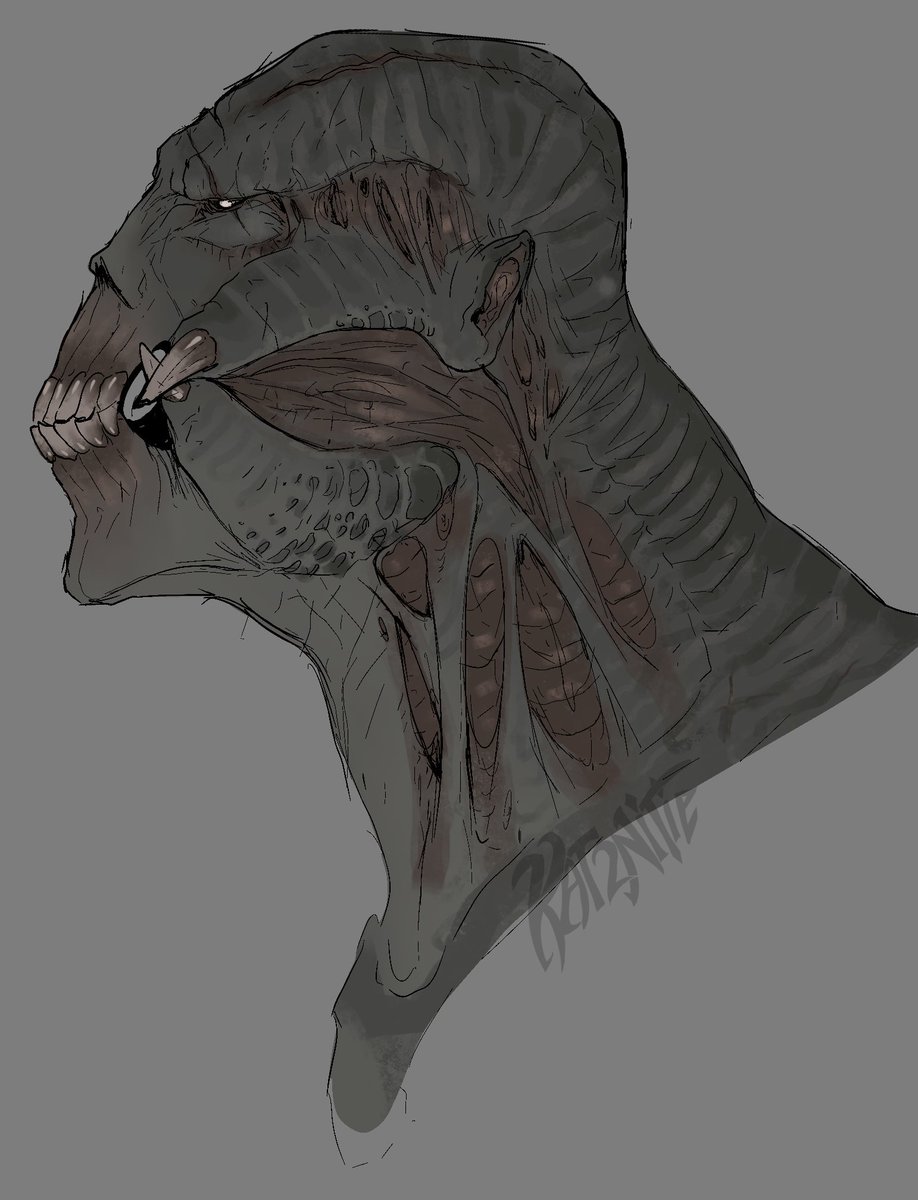 Kat2nite tweet media