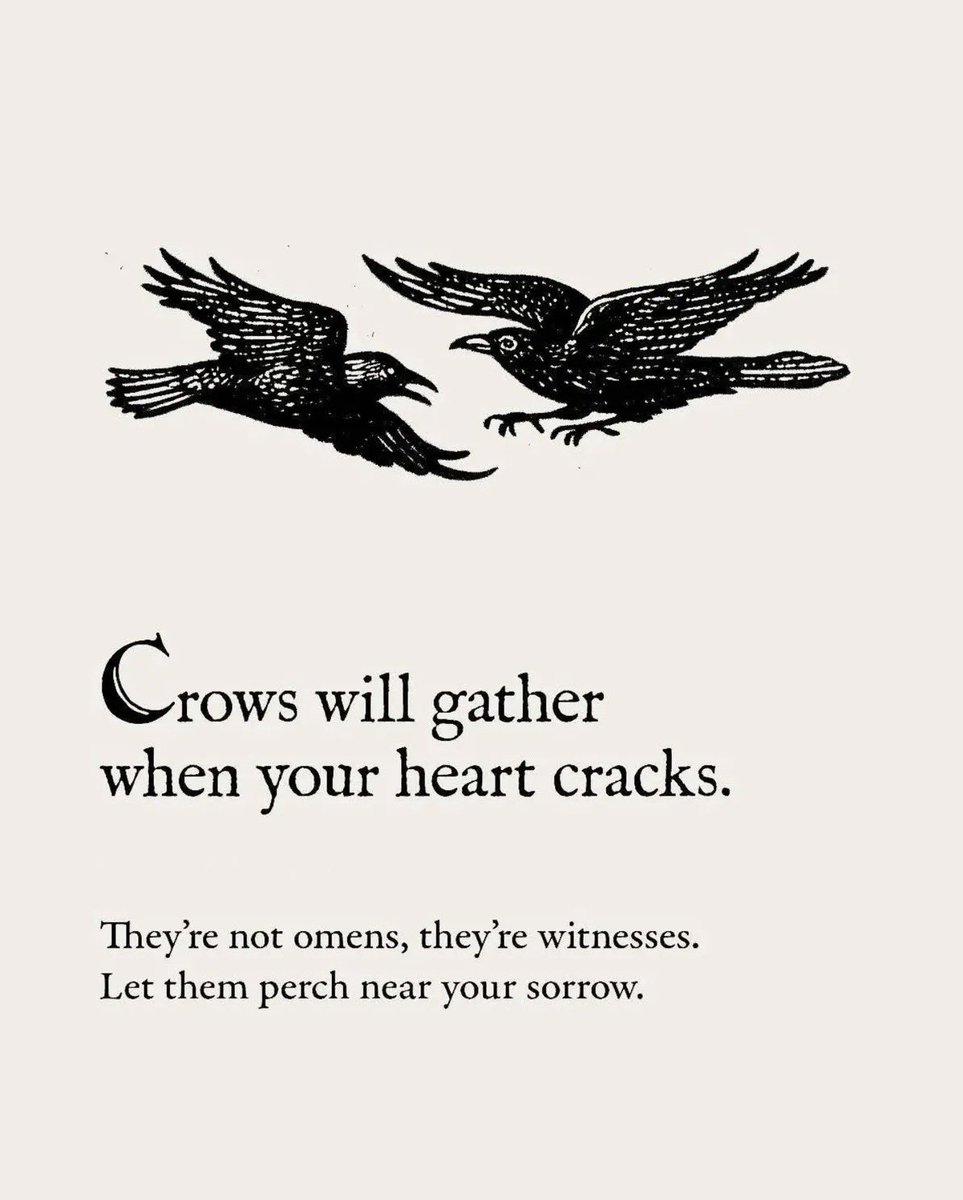 crows before bros