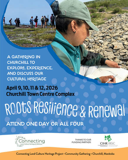 Lindsay Allen tweet media