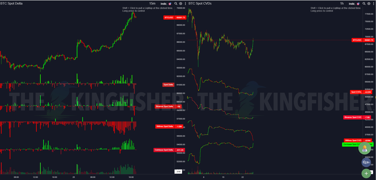 BLITZZ 🎒 tweet media