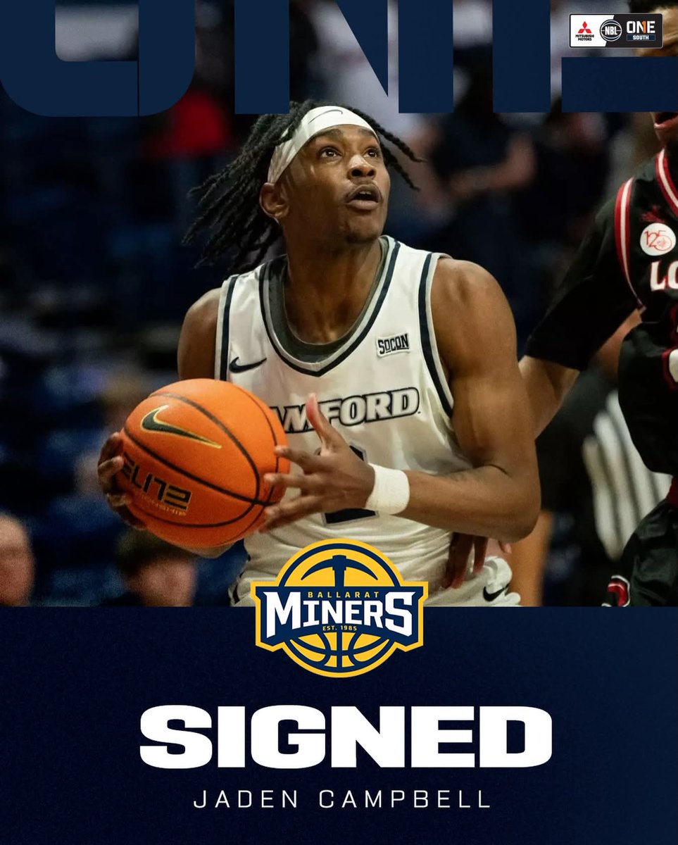 Flex Basketball Management tweet media