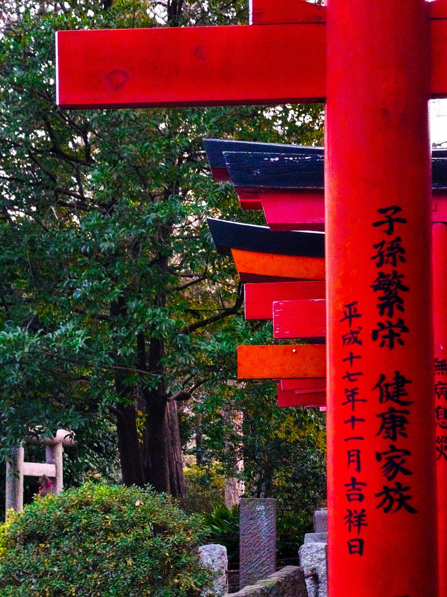 🌸 Kaori Loves Boba 🧋 tweet media