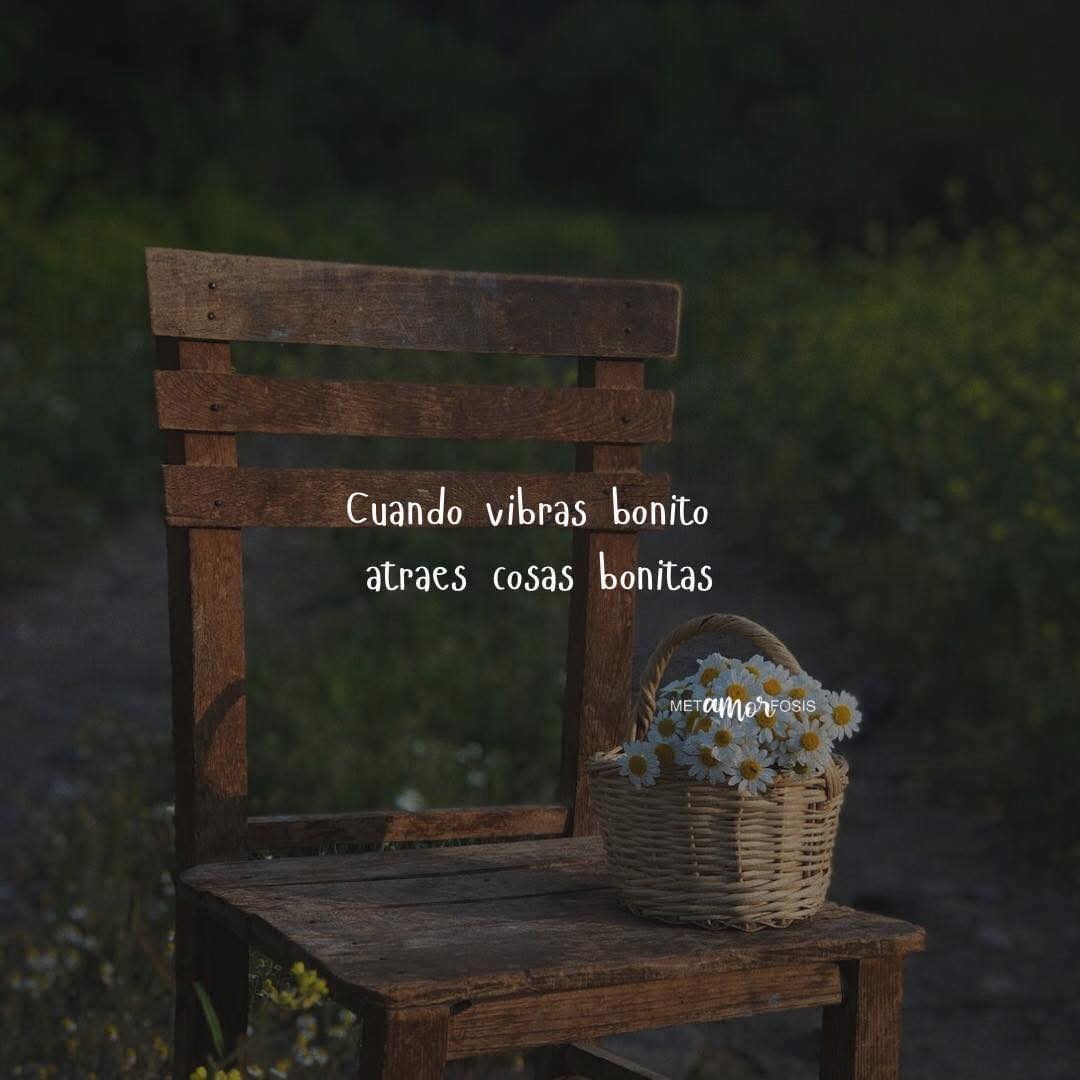 Cuando vibras bonito, descubres tanto maravilloso que la vida tiene reservado para ti. Solo te pide una condición: que creas que te lo mereces... #somosfelices