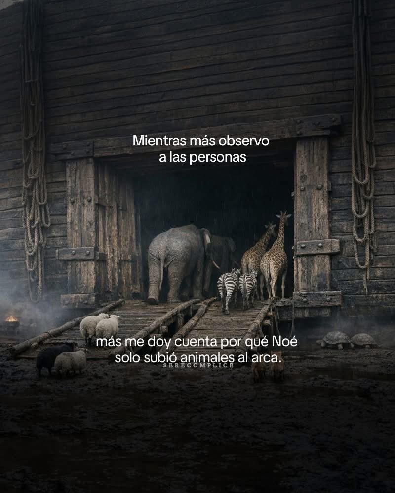 BANDIDOS (@bandidosfrasess) on Twitter photo 