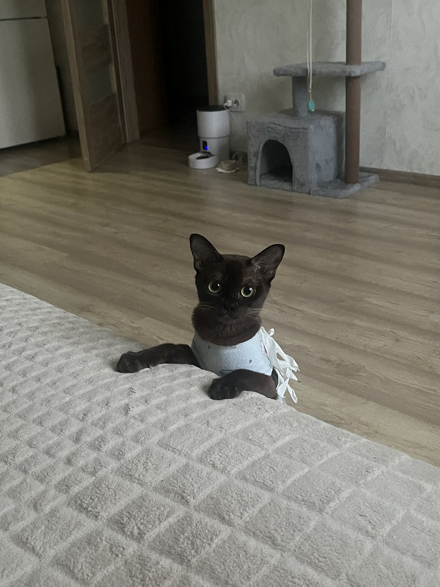 мeйлoф #StopWarInUkraine tweet media