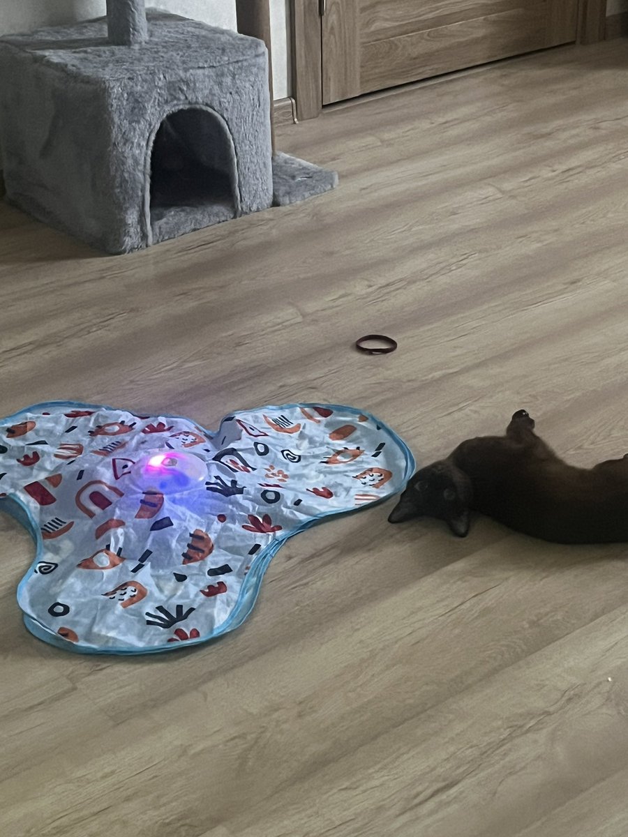 мeйлoф #StopWarInUkraine tweet media