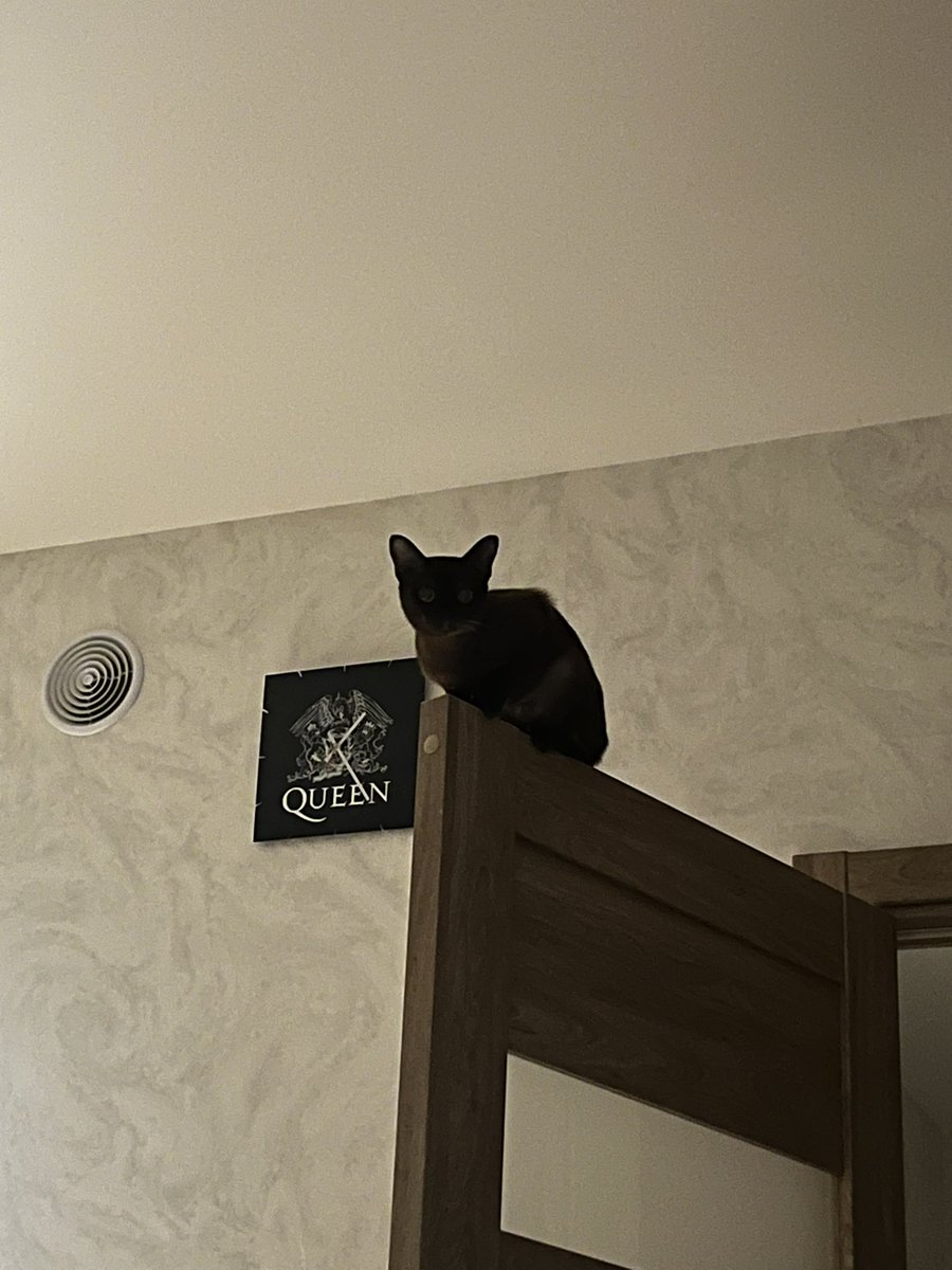 мeйлoф #StopWarInUkraine tweet media