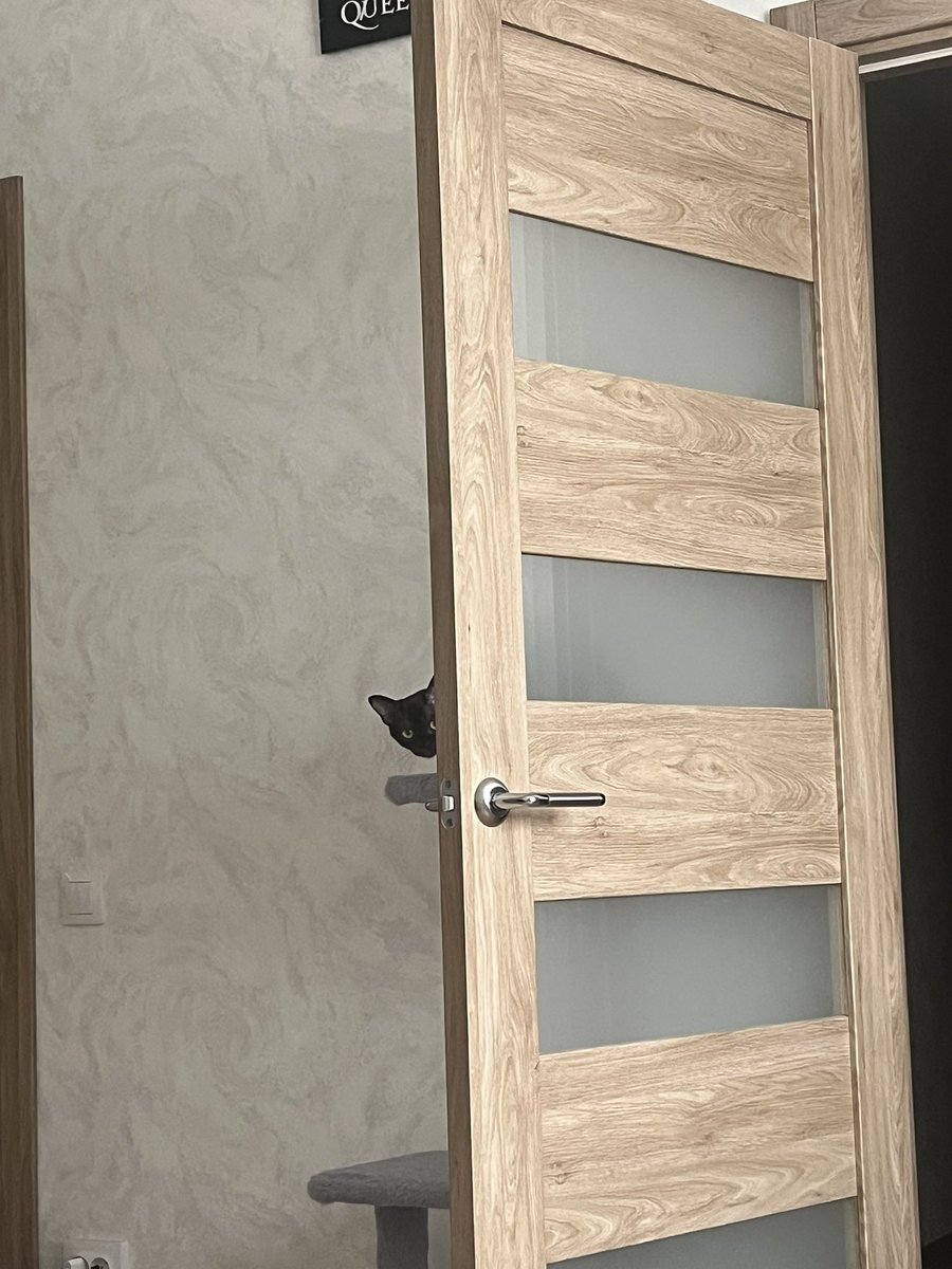 мeйлoф #StopWarInUkraine tweet media