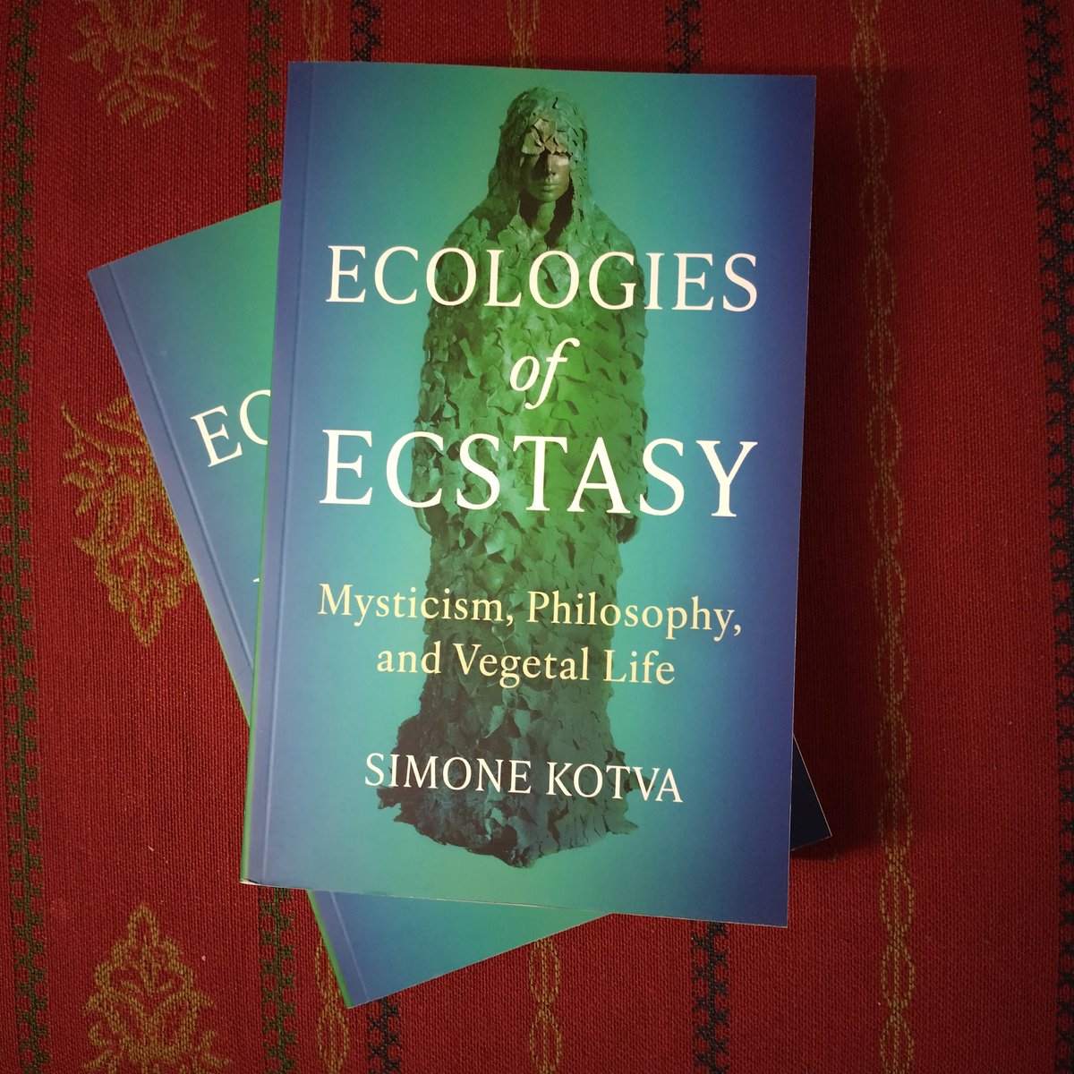 Dr Simone Kotva tweet media