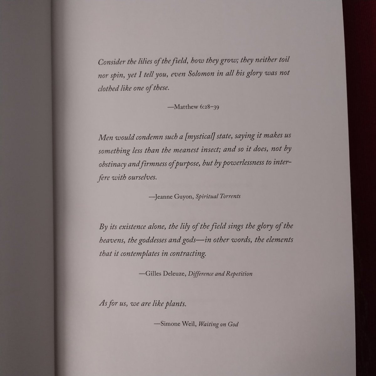 Dr Simone Kotva tweet media