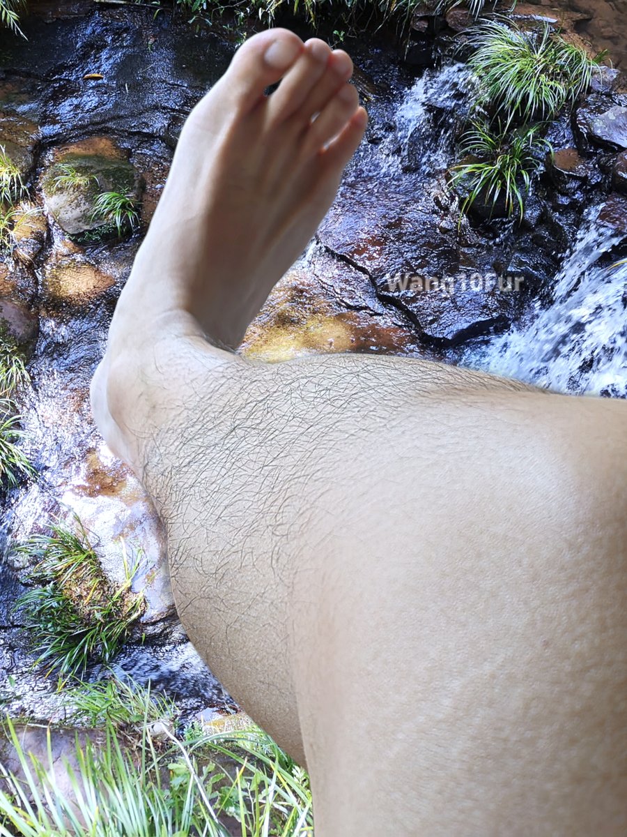 Wang10Fur tweet media