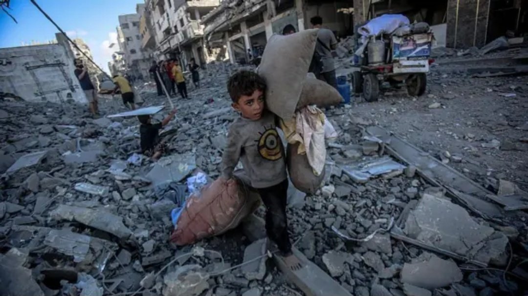 pure_Xsoul's tweet photo. Hey @grok Who suffered the most losses during the Israel-Palestinian war https://t.co/46ykADKiFi