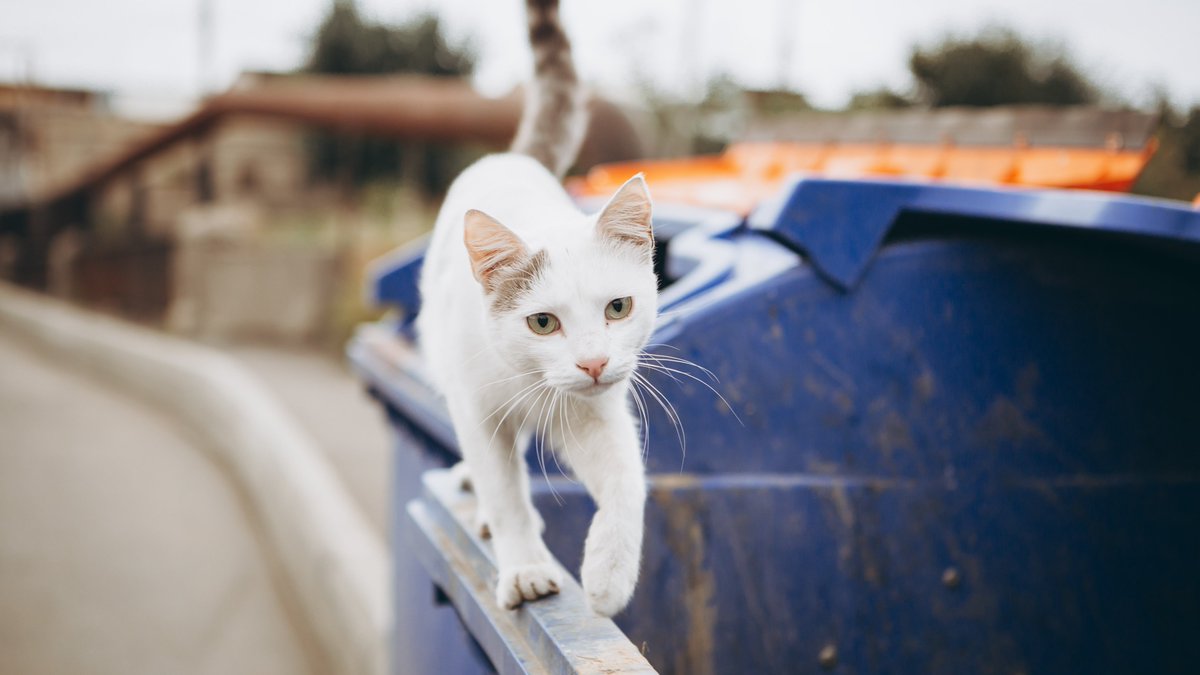 UF at Work tweet media