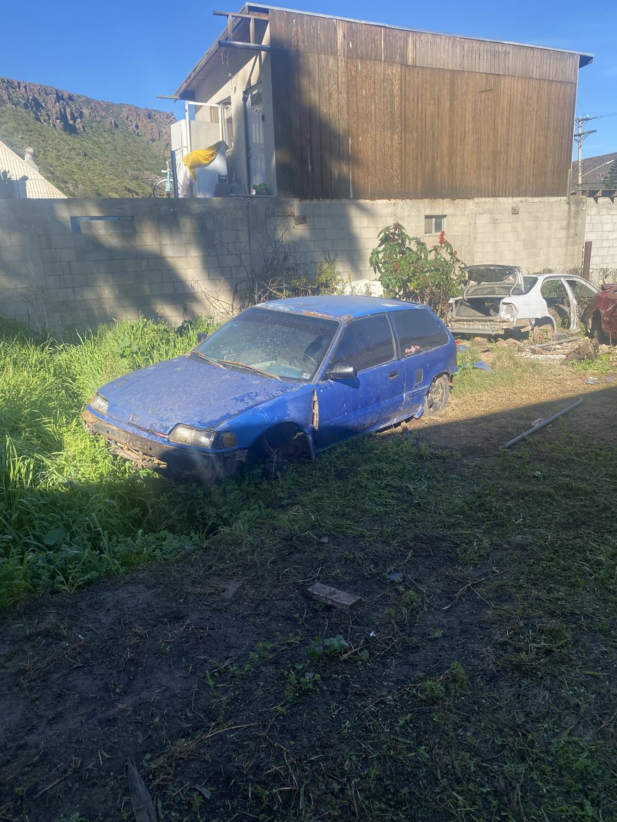 siterata. tweet media