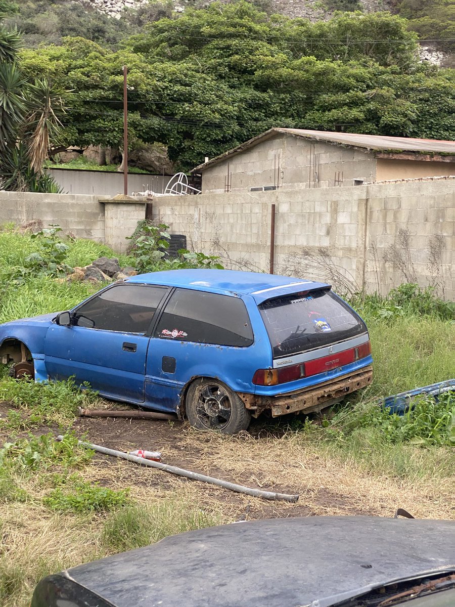 siterata. tweet media