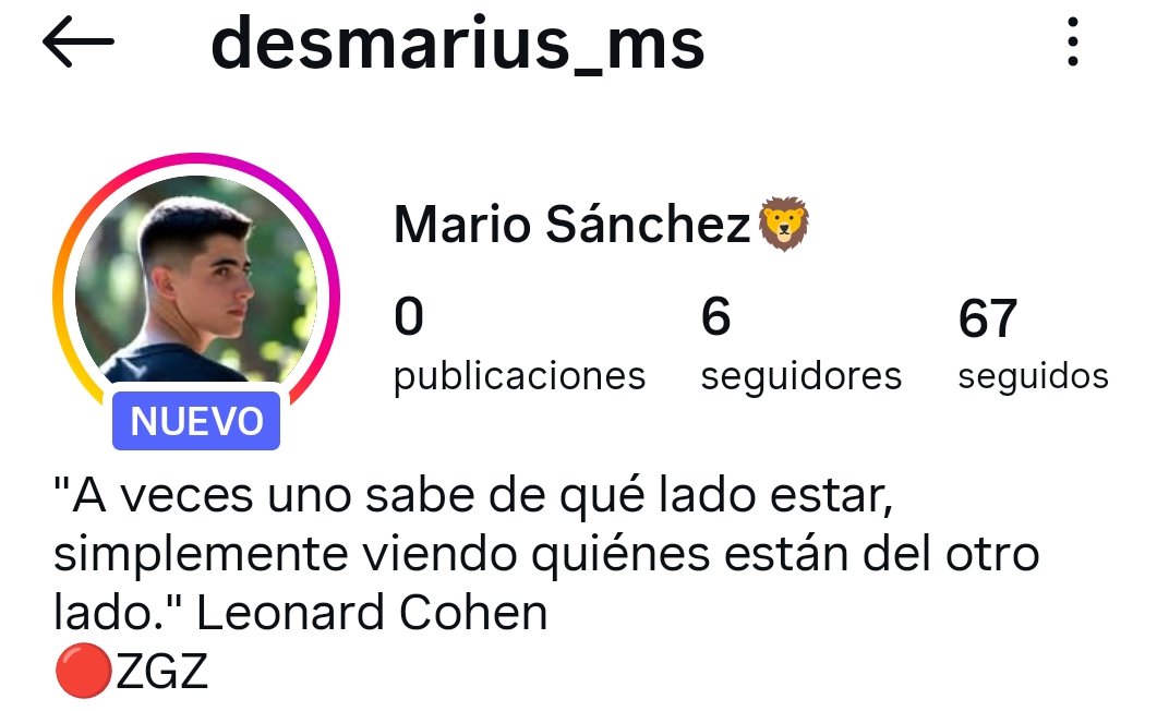Mario Sánchez🦁 tweet media