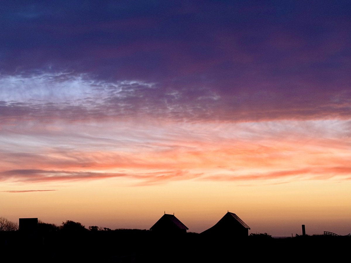 Carmel Wake tweet media