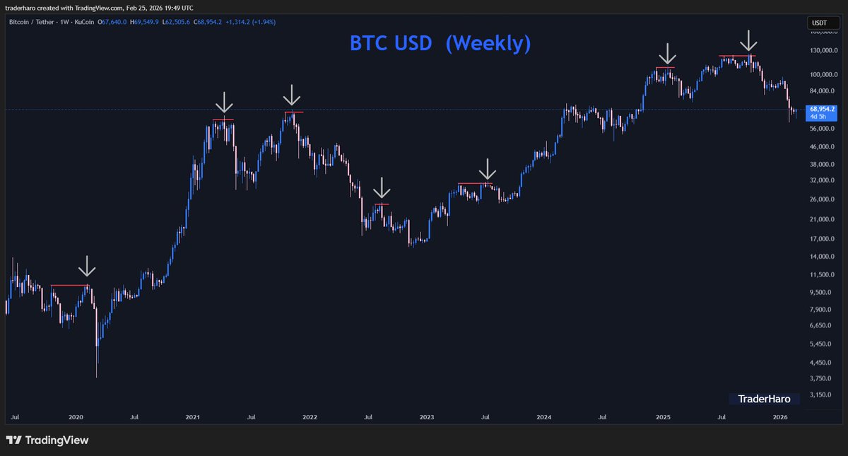 Trader Haro tweet media