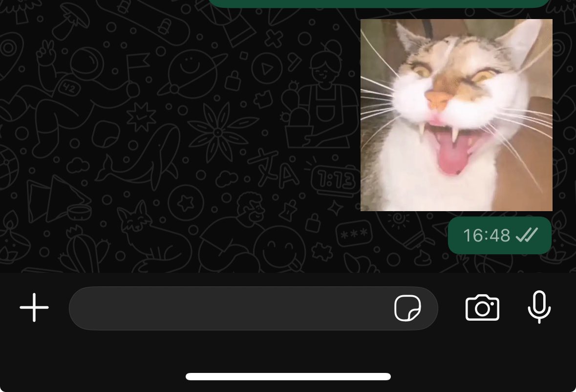 essa virou minha figurinha fav pra tudo