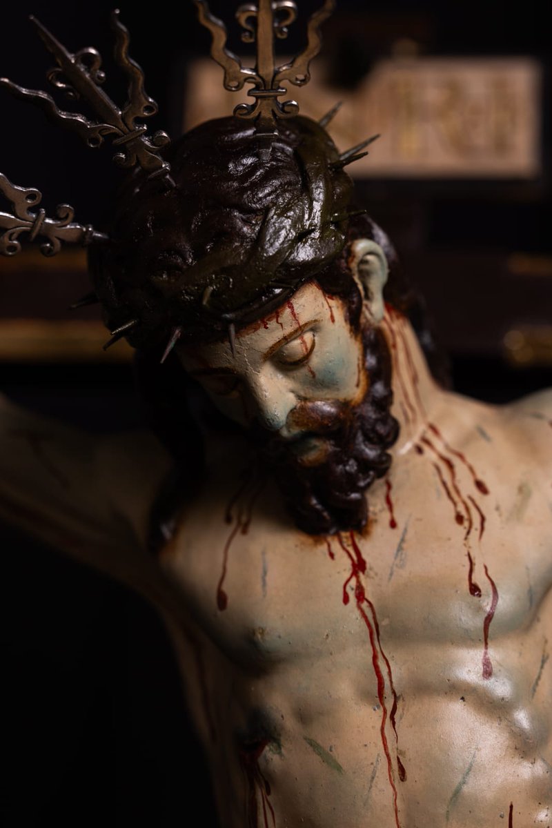 F. J. Flores Matute tweet media