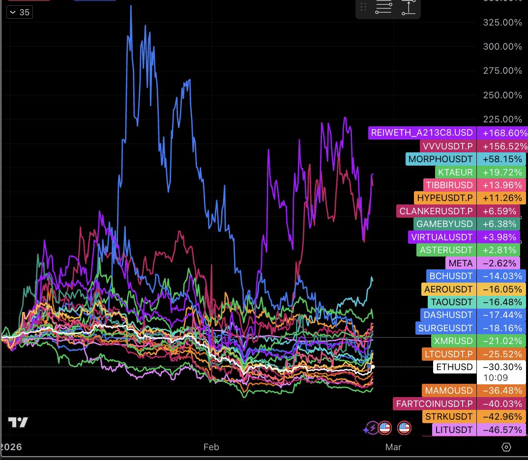 Cryptic Tits (NPCmaxxing) tweet media