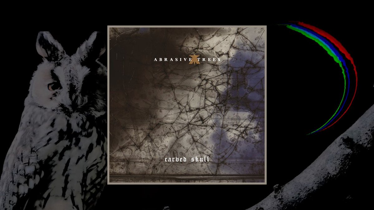 *Exeter's Vanished Rock Venues*and*Strange Daze* tweet media