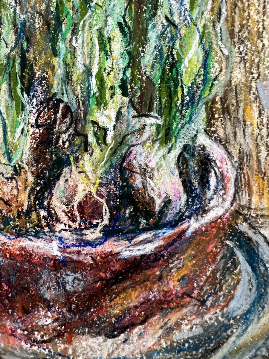 ivanunframed's tweet photo. Still life in spring 

https://t.co/RtRoxhy1KD https://t.co/912pyCRcEU