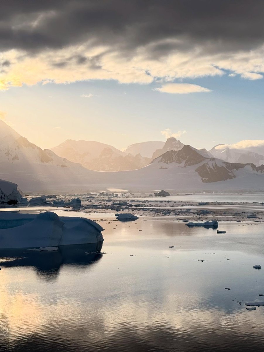 Bigelow Laboratory tweet media