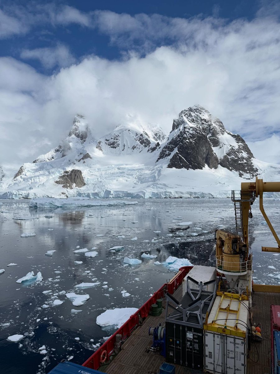 Bigelow Laboratory tweet media