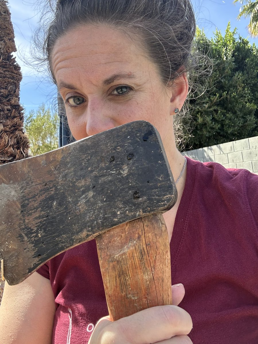 Jo Sanders tweet media