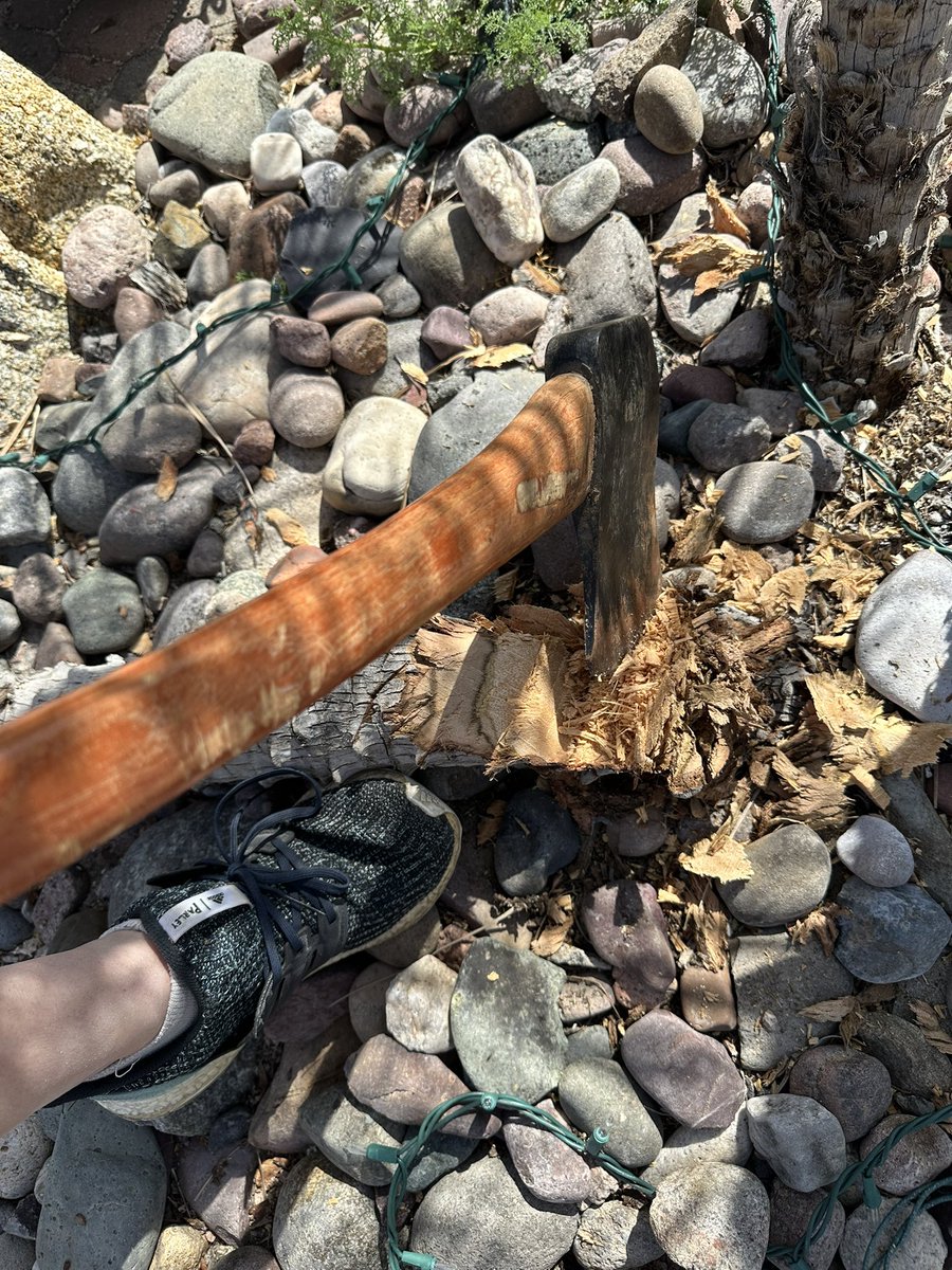 Jo Sanders tweet media