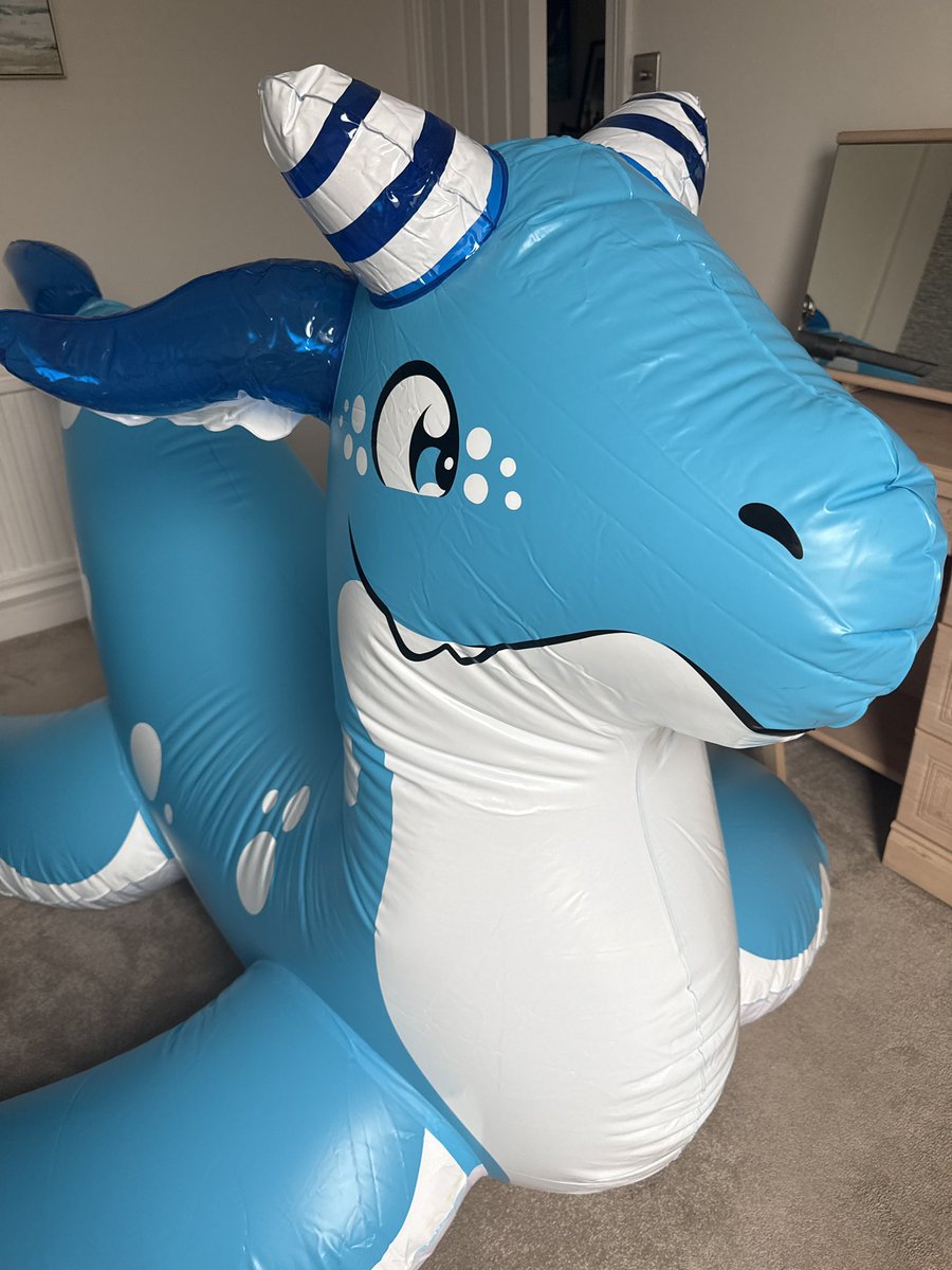 WhaleSqueak's tweet photo. New friend!
He’s very bouncy 👀 https://t.co/OaocvD0lFi